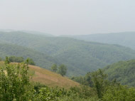 Penzion